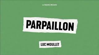 Entretien avec Luc Moullet  Parpaillon [upl. by Ainafetse]