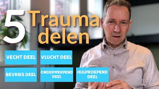 5 Trauma delen die je innerlijke kind willen redden [upl. by Nyladnarb]