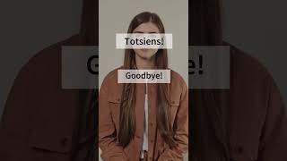 Afrikaans vs English vs Nederlands  Goodbye languagelearning languageshorts [upl. by Ycnan]