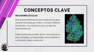 Introduccion de polimeros y conceptos [upl. by March]