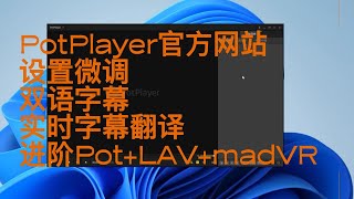 PotPlayer设置 [upl. by Atal870]