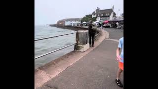 Walk Around Paignton Uk  Long Version  August 2024 [upl. by Yatnahs235]