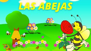 APRENDE sobre las abejas TODO sobre la abejaLA ABEJA para niñosCONOCE a la abeja POLINIZACIÓN [upl. by Ettecul]