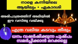 ധനം വഷർഷിക്കുന്ന പുഷ്പം സമർപ്പിക്കാൻ മറക്കല്ലെ [upl. by Iem793]