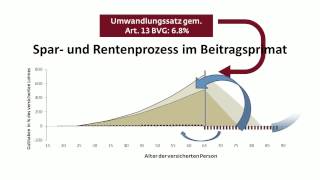 Der Unterschied zwischen Beitragsprimat und Leistungsprimat [upl. by Ytrebil]