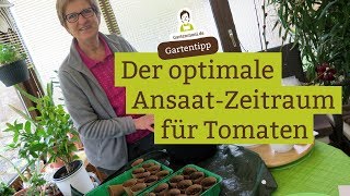 Wann Tomaten ansäen Der richtige AussaatZeitpunkt [upl. by Rani178]