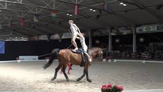 English Vaulting Squad freestyle [upl. by Ashmead]