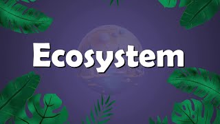 Bio 12  Chapter 25  Ecosystem  Hindi  Urdu [upl. by Blunt]