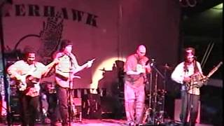 Bela Fleck amp The Flecktones  Winterhawk Grey Fox Bluegrass Festival 98 [upl. by Blaire]