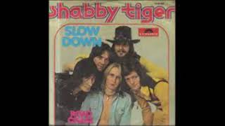 SHABBY TIGER  Slow down [upl. by Salvidor]