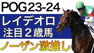 【POG2324】レイデオロ産駒の注目２歳馬をリストアップ！【ノーザン激推しの新種牡馬／来シーズン向け】 [upl. by Canon]