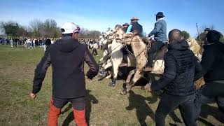 18 Février 2024 Abrivado Matin Manade Conti À Manduel [upl. by Elfont916]