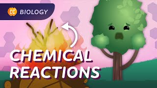 Chemical Reactions in Biology Crash Course Biology 26 [upl. by Dlarej728]