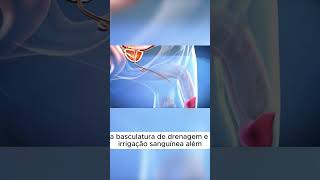 CIRURGIA DE MUDANÇA DE SEXO medicina shorts [upl. by Hope376]