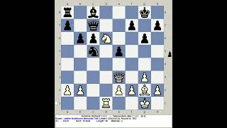 Schelvis Richard vs Warmerdam Max  Leiden Noteboom Memorial Chess 74th 2014 Netherlands [upl. by Nivrek]