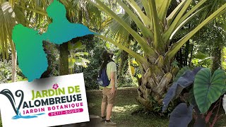 JARDIN de Valombreuse 971 Hortus en balade Ep6 [upl. by Madalena]