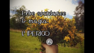 Erbe Spontanee amp Magia  l IPERICO   tutorial Oleolito [upl. by Del]