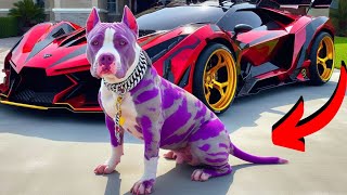 Super Cool Dogs You Should See Dogs and Cars Ai Dogs and Cat Stories doglovers [upl. by Phiona]