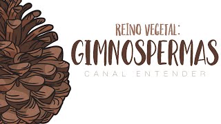 GIMNOSPERMAS  Reino Vegetal [upl. by Nol808]