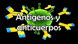 Antígenos y anticuerpos [upl. by Quinton]