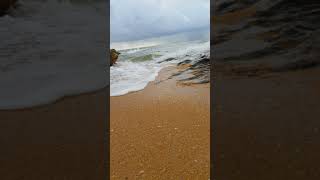 mount lavinia beach sri lanka [upl. by Carbrey594]