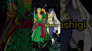 Roronoa Zoro with One Piece Girls onepiece onepieceshorts shorts [upl. by Nelly834]