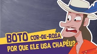 Boto Cor de Rosa por que ele sempre usa chapéu  Além da Lenda [upl. by Suelo]