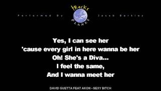 David Guetta feat Akon  Sexy Bitch en version karaoke instrumental [upl. by Nirtak]