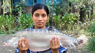 Bengali Fish Recipe  Chitol Macher Jhol Recipes  Village Style Cooking By Street Village Food [upl. by Ikaz576]