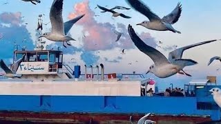 The ferry from Port Said to Port Fouad Egypt [upl. by Linnet867]