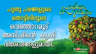 പുതു പഴങ്ങളുടെ തൊട്ടിലിലൂടെ വെഞ്ഞാറമൂട് അനീഷിന്റെ കൃഷി വിശേഷങ്ങളുമായി  ഹരിതം സുന്ദരം [upl. by Wedurn]