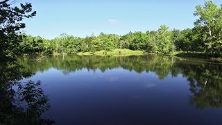 Brief Hiking Tour of the Brumley Forest Nature Preserve  Hillsborough NC [upl. by Ashla]