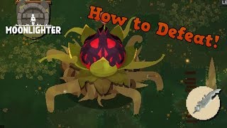 MOONLIGHTER Carnivorous Mutae Guide tips and tricks How to Finish Forest Dungeon [upl. by Canty]