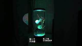 jellyfish lamp acrylic [upl. by Aneelahs]