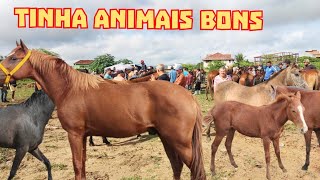 FEIRA DO CAVALO DE CAMPINA GRANDE PB 04062024 [upl. by Kazue]