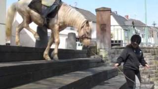 Schwierigkeiten beim Ausreiten Treppe [upl. by Adanama]