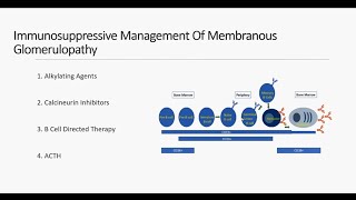 Membranous Nephropathy  An Evidence Based Approach to Treatment [upl. by Ailssa]