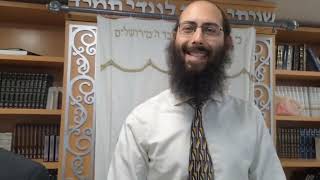 Rabbi Pinchas Horowitz  Shabbat Parshat Chayei Sara  Yeshivat Heichal Yerushalayim [upl. by Mikeb]