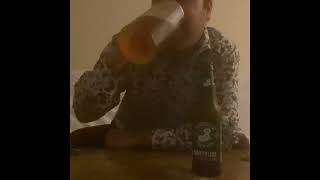 Brooklyn lager beer review 3 [upl. by Ellimahs750]