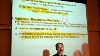 BIOLOGY CELLULAR RESPIRATION 2012 Part 1 by Professor Finkwmv [upl. by Ahsit451]