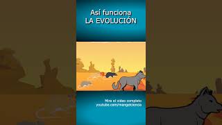 Así funciona LA EVOLUCIÓN🐒🧬shorts biologia ciencia [upl. by Croner]