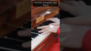 McNulty Fortepiano Chopin’s Favorite Piano 🎹✨ fortepiano [upl. by Philipp]