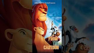 Cartoon Animals in Real Life A Wild Adventure  ABC ZOO Fun Animal Lessons [upl. by Conlen869]