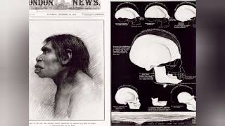 The Piltdown Man Hoax Unraveling the Greatest Scientific Fraud in History [upl. by Ayaros46]