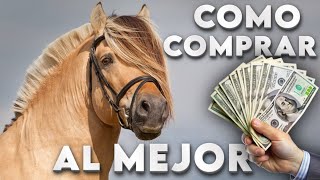 Mi PRIMER Caballo  ¿Como COMPRAR quotElegirquot un Buen CABALLO [upl. by Atauqal]