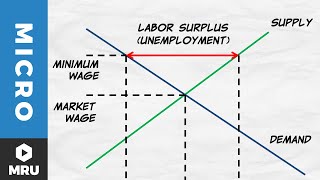 Price Floors The Minimum Wage [upl. by Assetnoc666]