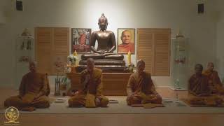 Short Dhamma Reflection by Ajahn Nyanadipo 25 Sep 24 [upl. by Bentlee]