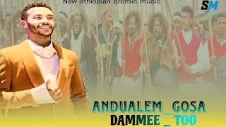 Andualem GosaNew MusicDAMMEE2024 [upl. by Ramsden]