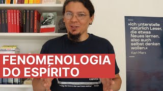 Hegel e a quotFenomenologia do Espíritoquot  dicas metodológicas e indicações bibliográficas [upl. by Darla]