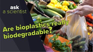 Are bioplastics really biodegradable  Ask a Scientist [upl. by Airt]